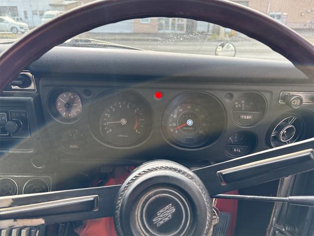 日本 　ブルーバード（16枚目）