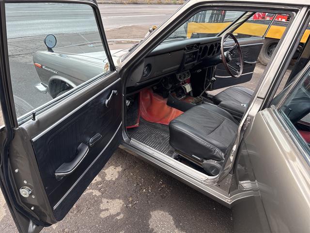 日本 　ブルーバード（26枚目）