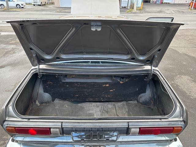 日本 　ブルーバード（36枚目）