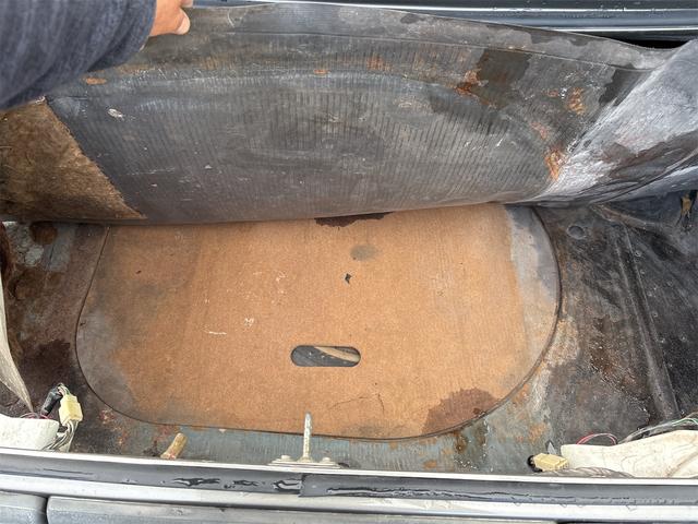 日本 　ブルーバード（37枚目）