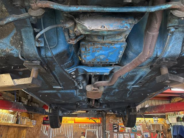 日本 　ブルーバード（45枚目）