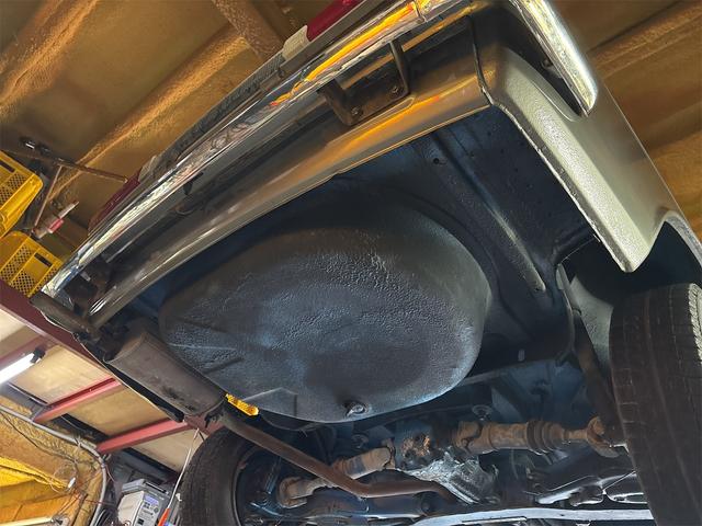 日本 　ブルーバード（49枚目）