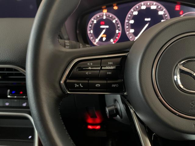 ＣＸ－６０ ＸＤ　Ｌパッケージ　純正ナビ　全方位カメラ　バックカメラ　レザーシート　シートヒーター　パワーバックドア　ＥＴＣ（33枚目）