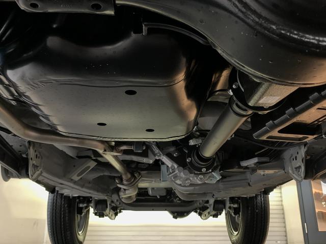 �����̏�Ԃ��ǍD�ł��B�X���[���X�^�[�i�����h�K�j�̎{�H������܂��I