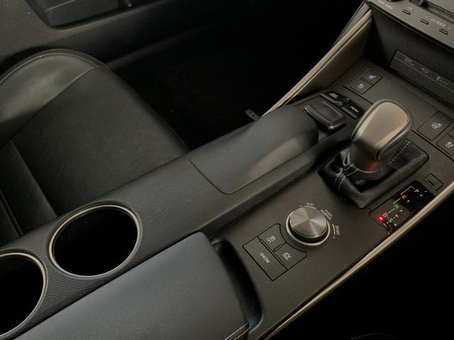 IS IS300h バージョンL 寒冷地仕様 本革シート シートヒーター シートベンチレーション ステアリングヒーター 地デジTV Bカメラ BSM ETC(40枚目)