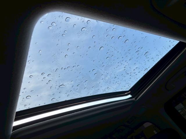 エルグランド VIP 4WD 整備付 両側電動ドア ナビ サンルーフ パワーシート AC100V 革シート パワートランク 前席シートヒーター オットマン アラウンドビュー(24枚目)