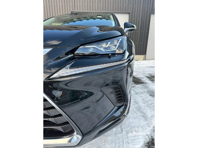 NX NX300h 4WD 整備付 保証付 サンルーフ シートヒーター シートエアコン 夏冬タイヤホイール 夏冬ワイパー ナビ BLUETOOTH ETC バックカメラ 電動シート 電動リアゲート クルーズコントロール(9枚目)