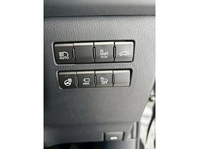 NX NX300h 4WD 整備付 保証付 サンルーフ シートヒーター シートエアコン 夏冬タイヤホイール 夏冬ワイパー ナビ BLUETOOTH ETC バックカメラ 電動シート 電動リアゲート クルーズコントロール(18枚目)