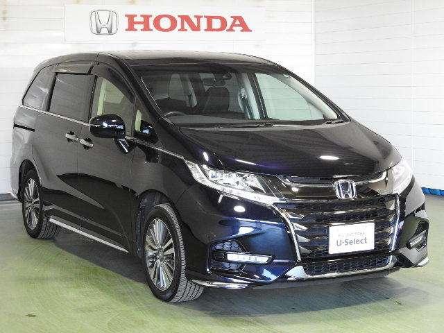 アブソルート・ホンダセンシング サポカーS ナビ リアカメラ 4WD(6枚目)