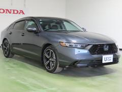 ̵ǣǯ֡ԵΥ̵ݾڤΡإۥäݾڡաˤ鷺ʤôǣǯǯ˱Ĺޤ 6