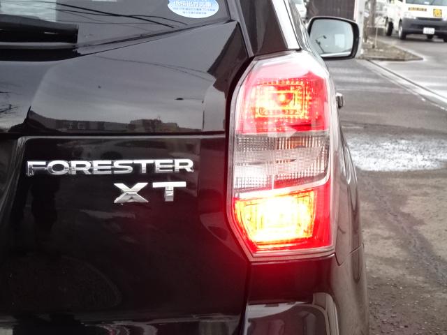 �O���L�Y�E�ւ��݂������厖�ɏ���Ă������ԁi�O�Q�|�j�|��