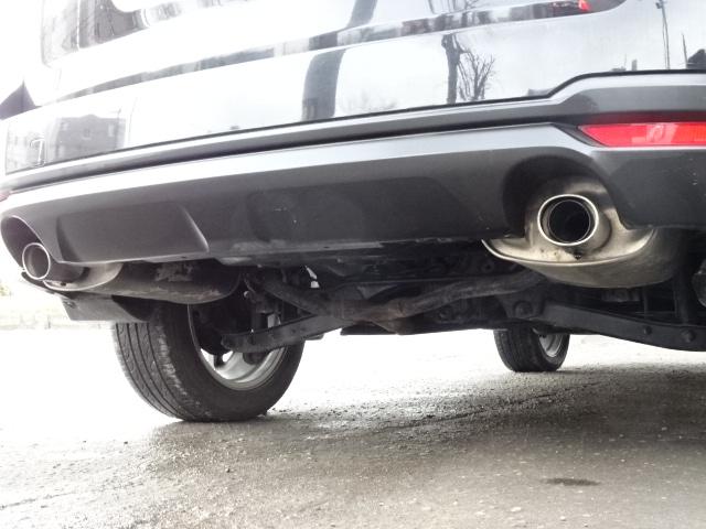 �Q�{�o���}�t���[�Ŕ��͂��郊����聙