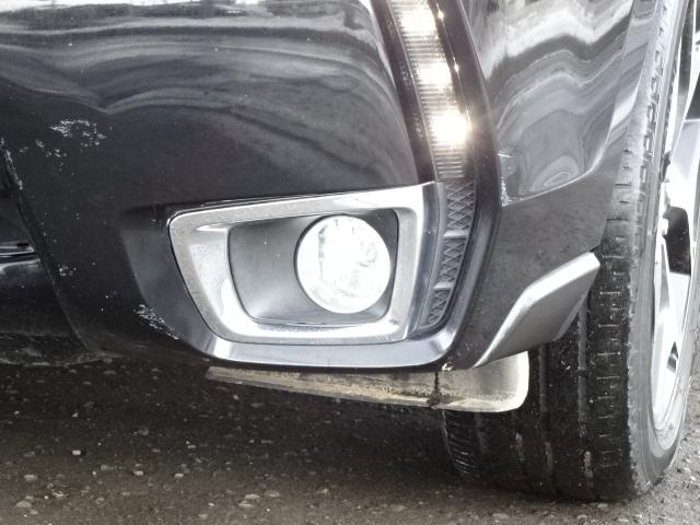 �t�H�O���s�J�s�J��