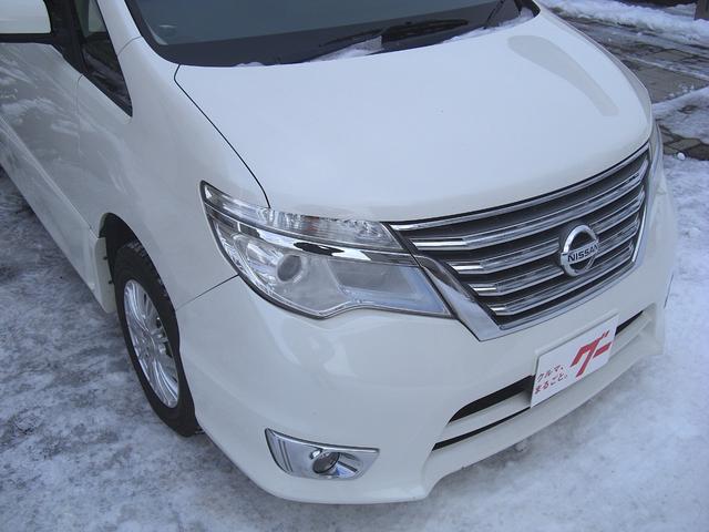 �t�����g���