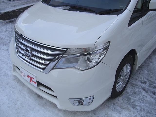 �t�����g���