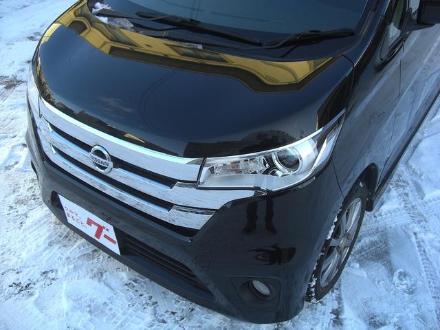 �t�����g���