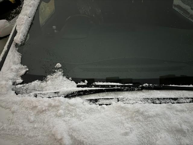 �M�����Ȃ��Ƃ���ȏ�ԂɁI�I��Ȃ��ď���Ă����Ȃ��I�I