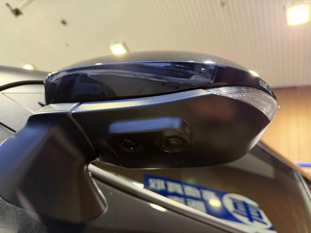 �T�C�h�J����