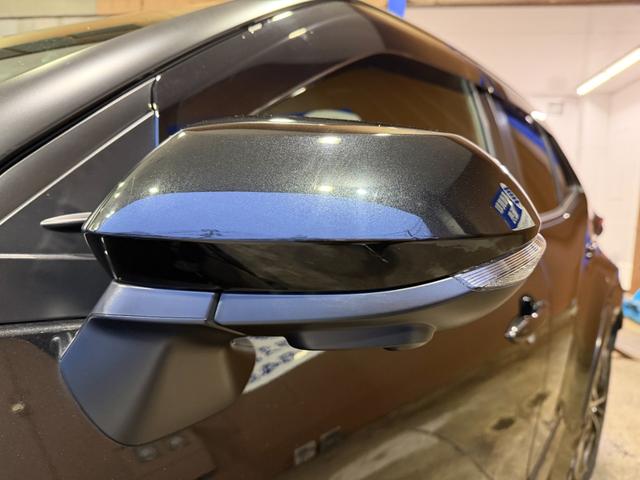 ���F���̗ǂ��E�C���J�[�~���[