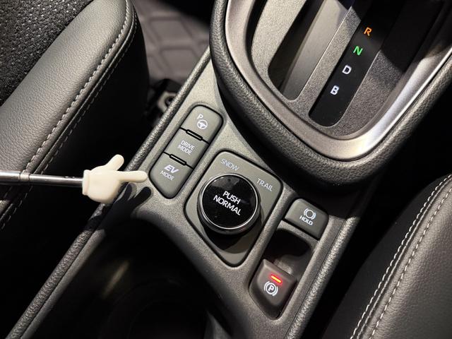 �G���W�����~�߂ă��[�^�[�����ŐÂ��ɑ���d�u���[�h