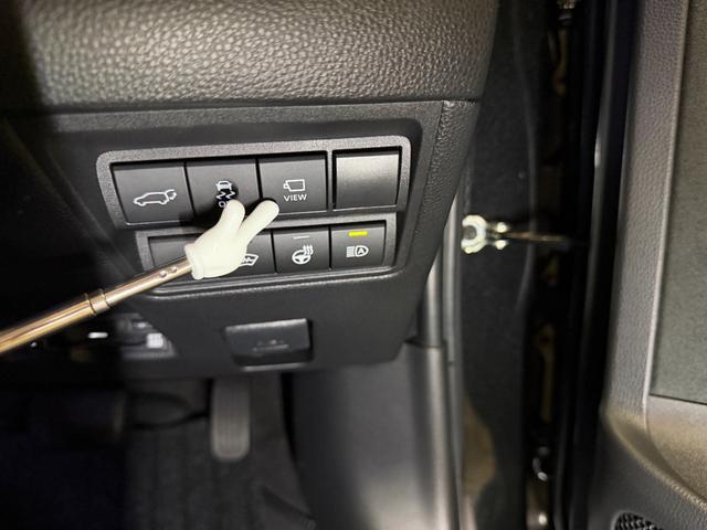 �p�m���~�b�N�r���[�S���ʃ��j�^�̃{�^��