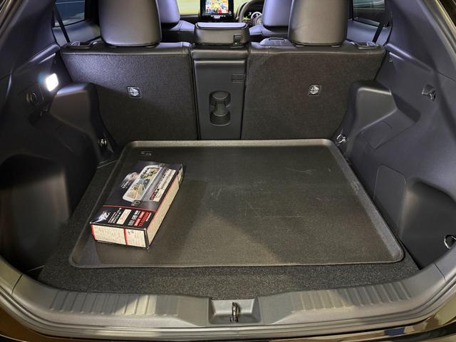 �g�����N���[�����R���p�N�g�J�[�Ȃ̂ɍL���ł��ˁB