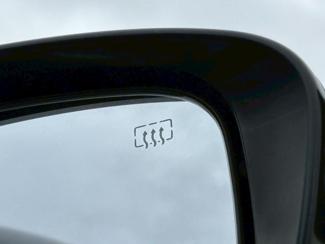 エクストレイル 20X エマージェンシーブレーキパッケージ 4WD 純正7インチフルセグナビ 純正エンジンスターター バックカメラ Bluetooth アイドリングストップ ダウンヒルアシストコントロール デジタルインナーミラー ブラインドスポットモニター(40枚目)