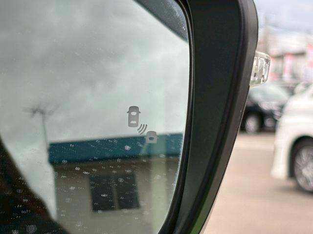 セレナ ハイウェイスターV 4WD 純正10インチフルセグナビ 純正エンジンスターター 電動自動ハンズフリースライドア アラウンドビュー Bluetooth 衝突軽減 パークアシスト ブラインドスポットモニター シートヒーター(44枚目)