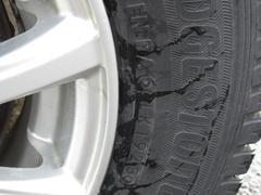 ȥ졼 ңӡǥץ쥤ǥ󥸥󥹥亸ȥ饤ɥɥͷڸ֥졼 0303664A30251117W002 6