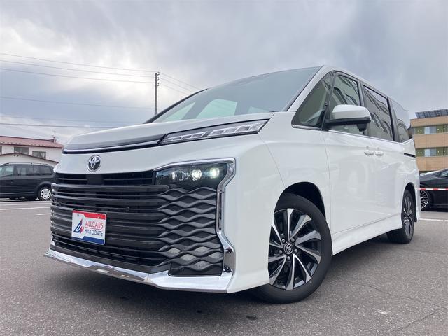 ヴォクシー S-Z ドライブレコーダー ナビ TV クリアランスソナー オートクルーズコントロール レーンアシスト 衝突被害軽減システム 両側電動スライドドア オートマチックハイビーム LEDヘッドランプ スマートキー(9枚目)