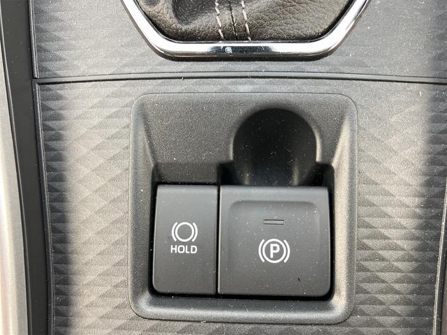 ライズ Ｚ　４ＷＤ　全周囲カメラ　クリアランスソナー　オートクルーズコントロール　レーンアシスト　衝突被害軽減システム　ナビ　ＴＶ　ＬＥＤヘッドランプ　アルミホイール　スマートキー　エンジンスターター（56枚目）