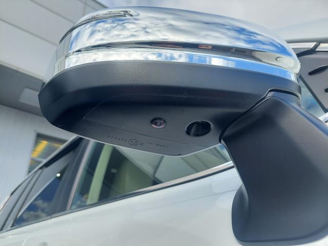 ランドクルーザー ZX 3300ccディーゼルターボ 12.3型JBLナビ全方位カメラ サンルーフ ルーフレール 純正ヒッチメンバー デフロック ETC ハンドルヒーター シートヒーター ベージュ内装(53枚目)