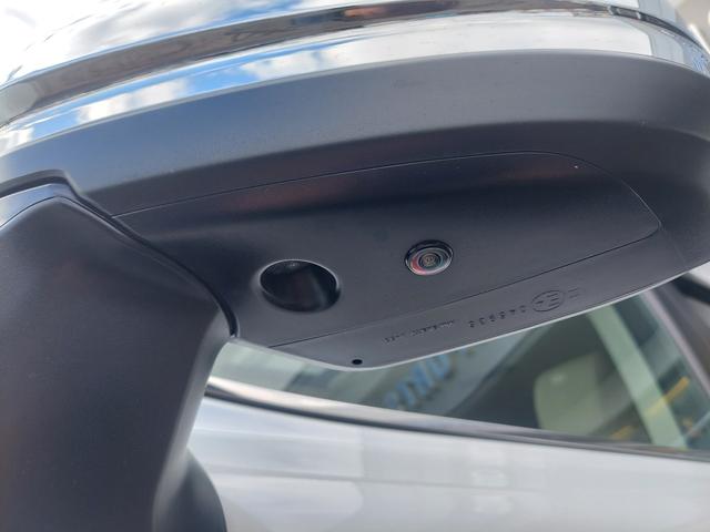 ランドクルーザー ZX 3300ccディーゼルターボ 12.3型JBLナビ全方位カメラ サンルーフ ルーフレール 純正ヒッチメンバー デフロック ETC ハンドルヒーター シートヒーター ベージュ内装(54枚目)