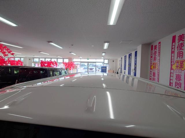 タント カスタムＲＳ　トップエディションＳＡＩＩ　純正８インチナビ　Ｂｌｕｅｔｏｏｔｈオーディオ　フルセグ　バックカメラ　両側電動スライドドア　寒冷地仕様　コネクテッドローン　プッシュスタート　ＬＥＤヘッドライト　スマートアシストＩＩ　エコアイドル（67枚目）