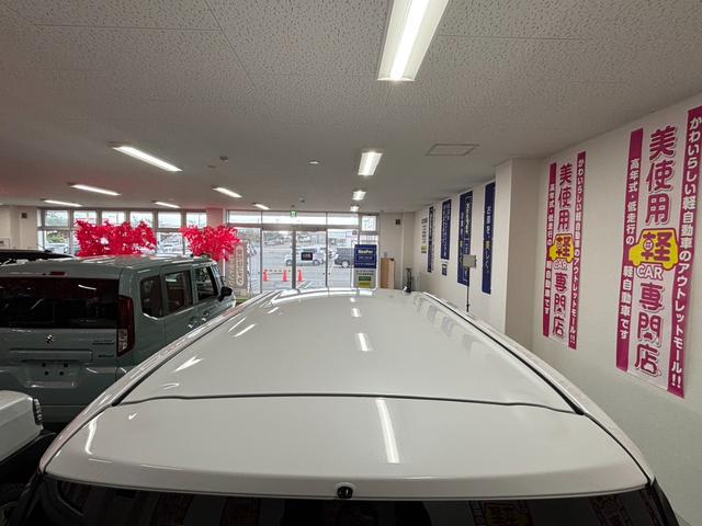 ムーヴキャンバス ストライプスG 4WD 寒冷地仕様 LEDヘッドライト 衝突軽減ブレーキ 両側電動スライドドア シートヒーター スマートキー プッシュスタート(62枚目)