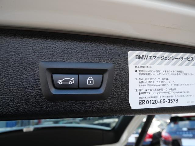 X3 xDrive 20d Mスポーツ 純正HDDナビフルセグ Bluetooth 全周囲モニター インテリジェントセーフティ 衝突軽減B 車線逸脱警告 キセノン パワーバックドア 19インチアルミ スマートキー ハーフ革シート ETC(37枚目)