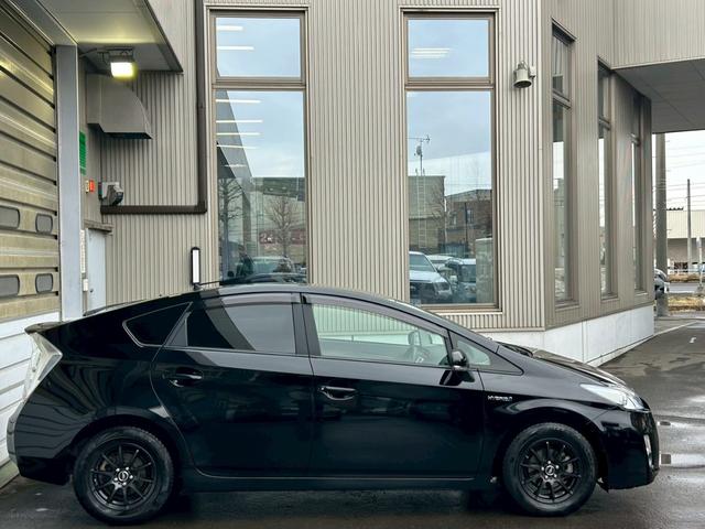 �������������@������������Ё@�O�P�P�|�R�V�W�|�U�R�P�T�@�D�y�s���ʋ���y�P���R���ڂP�|�Q�Q�����@�Q�V�S���������@�}�b�N�X�o�����[���ʓX��������ł��A�Ŋ��w�i�q���y�w�n���S�������Ђ΂肪�u�w