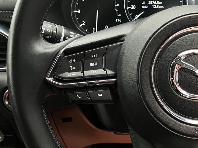 ＣＸ－８ ＸＤ　Ｌパッケージ　４ＷＤ　ディーゼルターボ　ＢＯＳＥサウンド　３６０度ビュー　マツダコネクトナビ　地デジＴＶ　バックカメラ　革シート　パワーシート　シートヒーター　ステアリングヒーター　ＬＥＤヘッドランプ　純正エンスタ（46枚目）