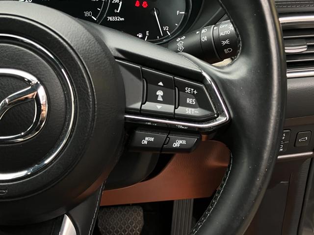 ＣＸ－８ ＸＤ　Ｌパッケージ　４ＷＤ　ディーゼルターボ　ＢＯＳＥサウンド　３６０度ビュー　マツダコネクトナビ　地デジＴＶ　バックカメラ　革シート　パワーシート　シートヒーター　ステアリングヒーター　ＬＥＤヘッドランプ　純正エンスタ（47枚目）