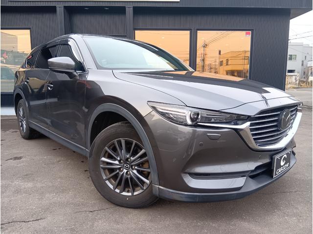 CX-8 XD スマートエディション ナビ テレビ Bカメラ Fカメラ 全周囲カメラ 電動リアドア クルコン 4WD(10枚目)