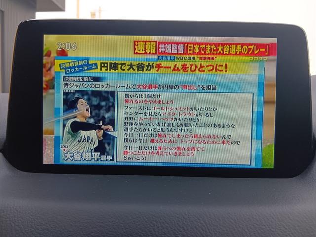 CX-8 XD スマートエディション ナビ テレビ Bカメラ Fカメラ 全周囲カメラ 電動リアドア クルコン 4WD(31枚目)