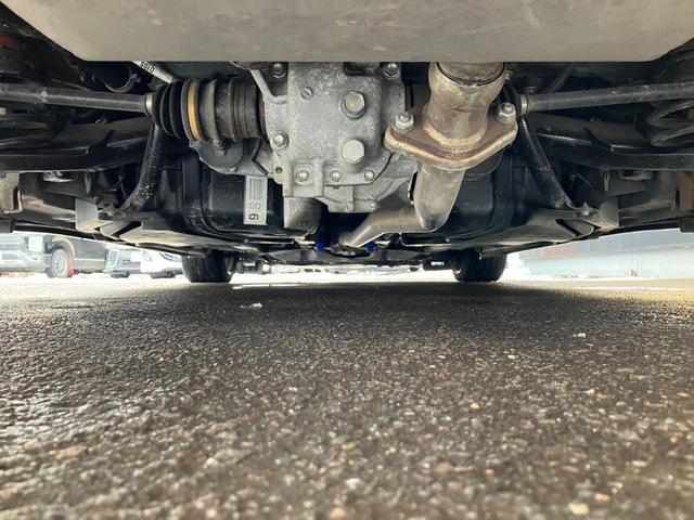 �����̏�Ԃ͗ǍD�ł��I����]�ɂĖh�K���H�i�X���[���X�^�[�j�������Ă���܂��I