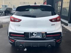 �ܥǥ������顼�ϡ֥��ꥹ����ۥ磻�ȥѡ���ޥ����� 6