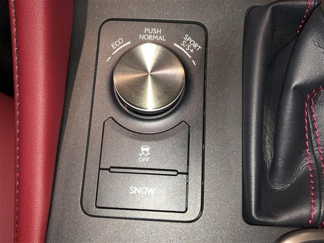 RC RC350 Fスポーツ 衝突軽減システム Bカメ ABS レザーシート スマートキー エアコン オートクルーズコントロール エアバッグ キーフリー ナビTV ESC DVD アルミホイール メモリーナビ サンルーフ Pシート(31枚目)