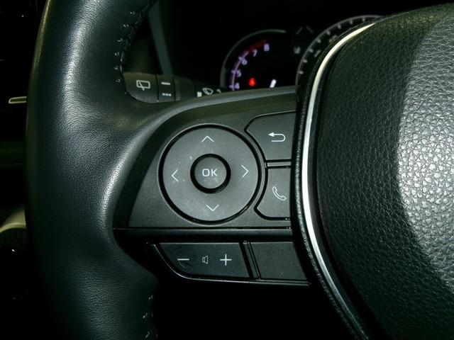 ＲＡＶ４ Ｇ　Ｚパッケージ　寒冷地仕様車　インテリジェントクリアランスソナー　ＡＷＤ　ＬＥＤライト　アルミホイル　オートクルーズ　横滑り防止装置　バックガイドモニター　盗難防止装置　デュアルエアバッグ　メモリナビ　キーレス（18枚目）