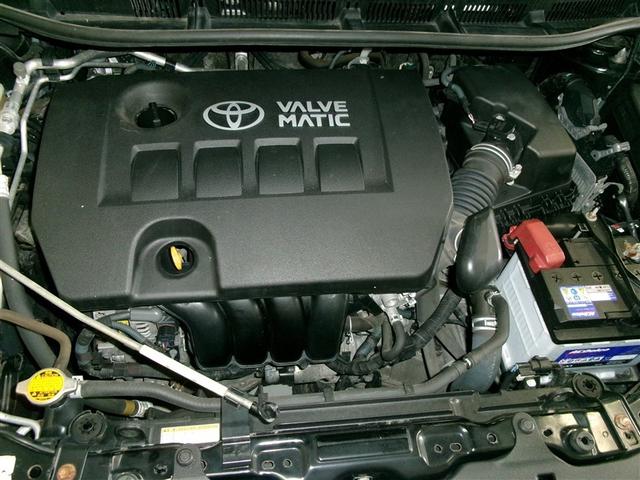 �P�W�O�O�����G���W����