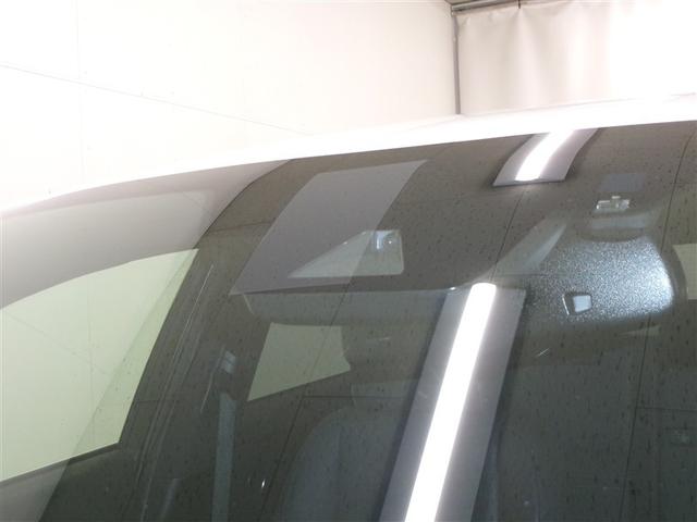 ＮＸ ＮＸ３００　スパイス＆シック　寒冷地仕様（32枚目）