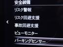 ２５Ｓ　ブラックトーンエディション　全周囲カメラ・１０．２５型マツダコネクトナビ・スマートブレーキサポート・ＢＳＭ・ＨＵＤ・ステアリング＆シートヒーター・電動シート・電動リアゲート・純正ラバーマット・前後ドラレコ・フルセグ・ＥＴＣ（27枚目）
