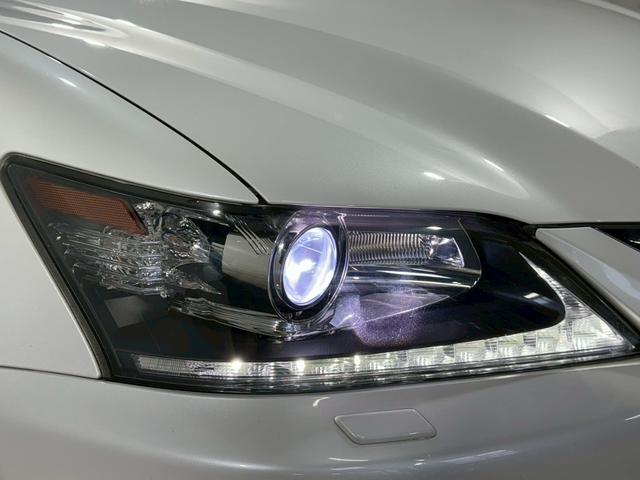 �y�g�h�c�w�b�h���C�g�z�Â��铹�ł����邭�O���Ƃ炵�Ă���܂���