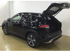 �����������ǲ�ʪ�νФ����줬���ࡼ���˹Ԥ��ޤ� 7